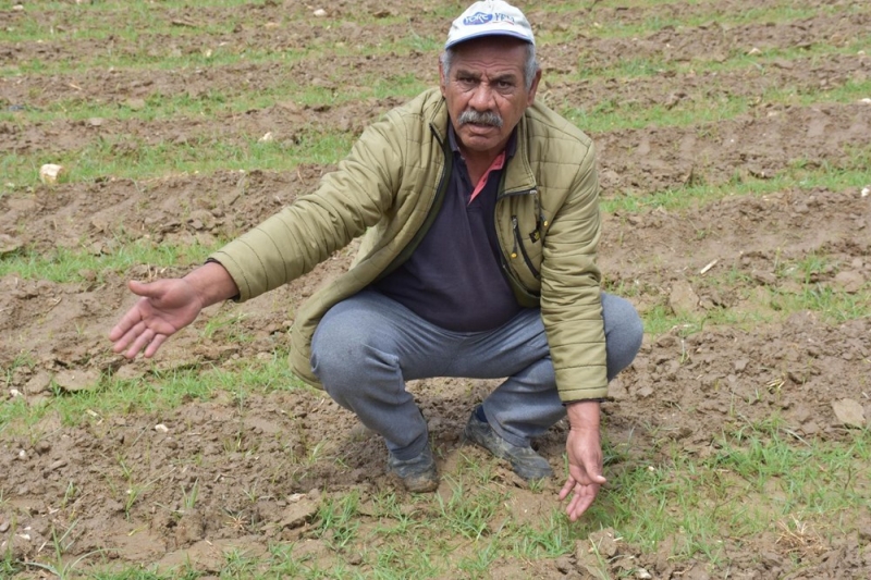 <p>'Havadan ila�laman�n do�adaki di�er canl�lara da zarar verdi�i i�in yasakland���n� s�yleyen T�ra�, 'Bu uygulamay� yapam�yoruz. Trakt�rlerin arkas�na tak�lan aparatlarla ila�lamam�z� yapaca��z. 800 dekarl�k bir alanda ila�lama yapaca��z. Takibi yap�larak kalan 400 dekar alanda da gerekirse ila�lama yapaca��z' diye konu�tu.</p>