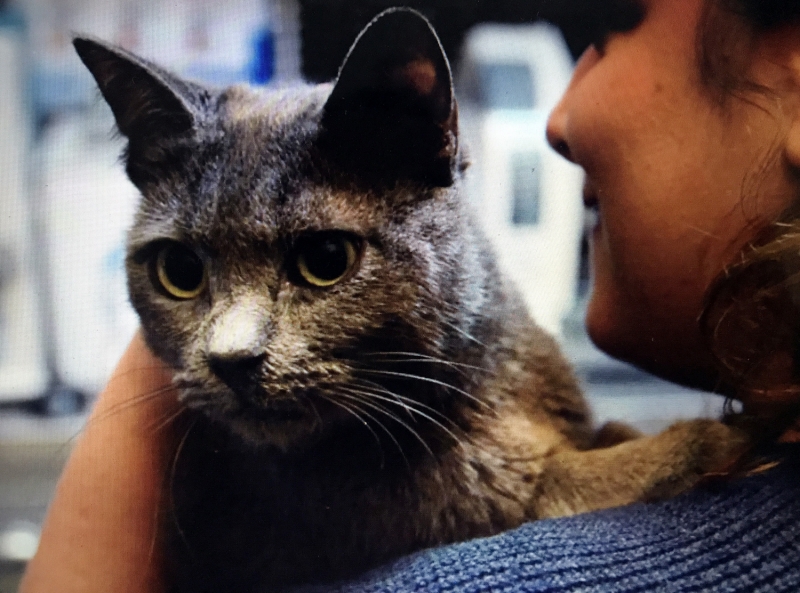 <p><b>- 'DAMAKTAK� YARIK YA�AM KAL�TES�N� D���R�YORDU'</b><br></p>