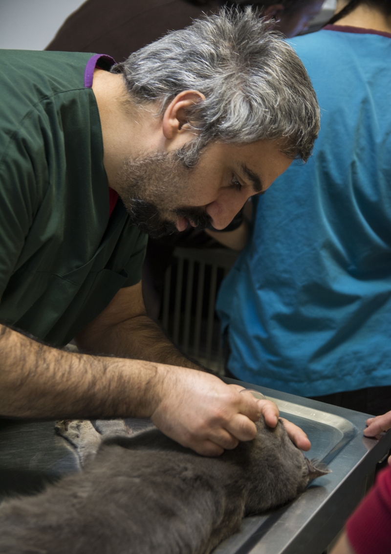 <p><b>- 'UZUN ZAMANDIR MUTSUZKEN ��MD� ENERJ�S� YER�NDE'</b><br></p>