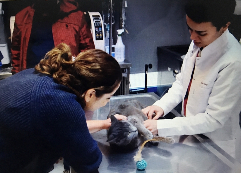 <p><b>- 'G��L�'N�N �Y�LE�T���N� G�RMEK B�Z� MUTLU ETT�'</b><br></p>