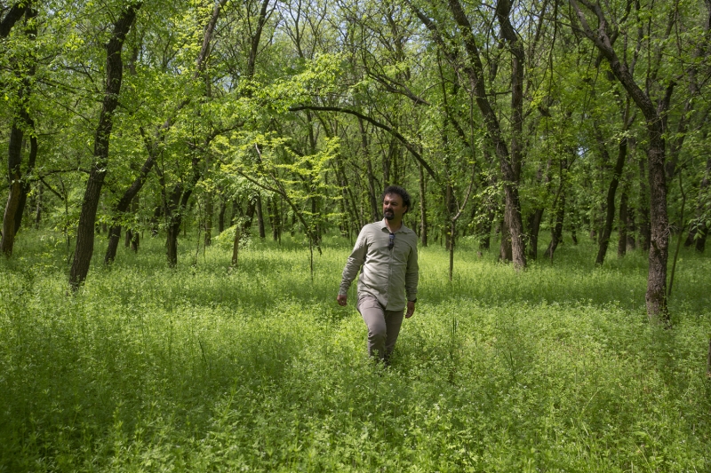<p>Edirne Sümbülü'nün soğanlarından alınan örnekler biyoteknolojik yöntemlerle laboratuvar ortamında klonlanıyor.</p>