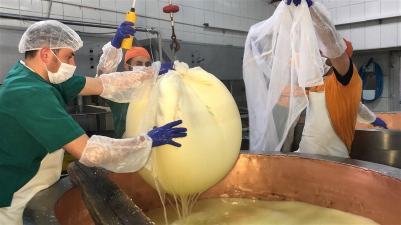 <p>Gravyer ustaları sık sık peynirin kıvamına gelip gelmediğini kontrol ediyor. Vakti geldiğinde ise süzülerek kazanlardan alınan peynir parçacıkları kalıplara dolduruluyor.</p>