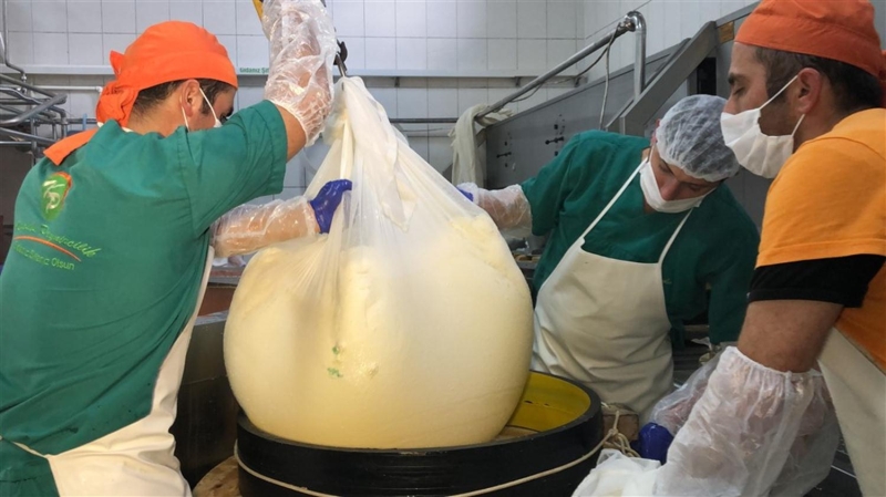 <p>Su berrak, peynir yağı bünyesine çekmiş, peynir suyunda yağ kalmamış olmalı.</p>