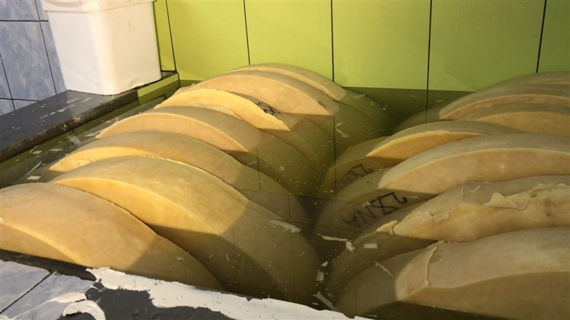 <p>Üreim 1 Mayıs'ta başlıyor. Grevyer, mayıs, haziran, temmuz ve ağustos ayında çiçek otlayan ineklerin günlük taze sütlerinden yapılır. </p>