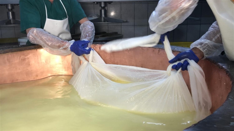 <p>Peyniri avucumuzda sıktığımız zaman bu tanelerin hepsinin birbirine yapışması gerekiyor.</p>