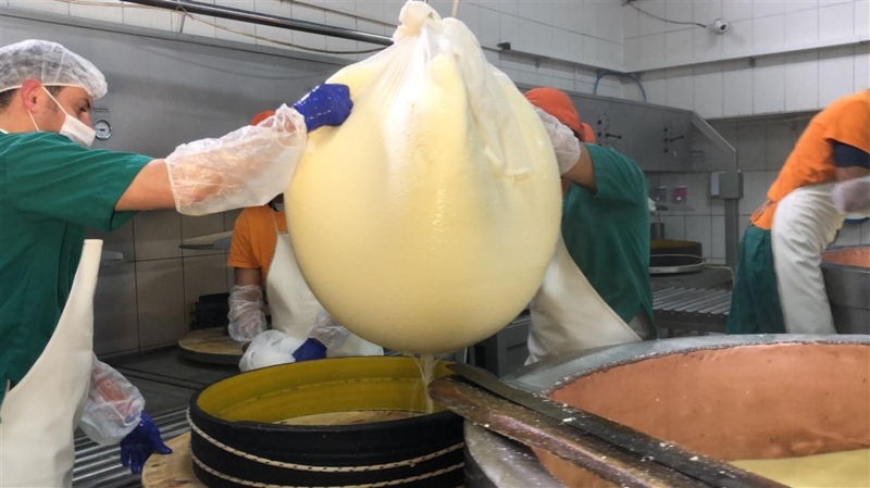 <p>Gravyer birkaç gün süren süzme işlemlerinin ardından dinlendirilmeleri için önce eksi 8 derecelik odada tuzlu suda bekletiliyor ardından da sıcak ve nemli odaya alınarak raflara konuluyor. Burada da her gün gravyerin temizlenmesi ve çevrilmesi işlemlerine başlanıyor.</p>