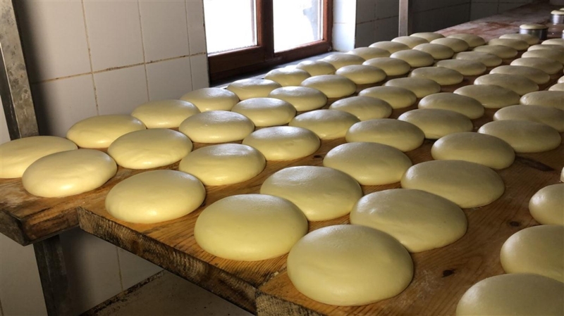 <p>Yemeklerden sonra 40-50 gram peynir tüketilmesi bağırsak florası açısından çok önemlidir. Kaşar peyniri koronavirüse karşı da dayanıklı özelliği bulunmaktadır.</p>