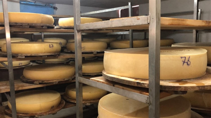 <p>Dinlendirdikten sonra da tuz havuzuna alıyoruz. Burada bir hafta bekliyor. Daha sonra peyniri tuz havuzundan çıkarıyor sıcak odaya alarak 1 ay olgunlaştırıyoruz.</p>