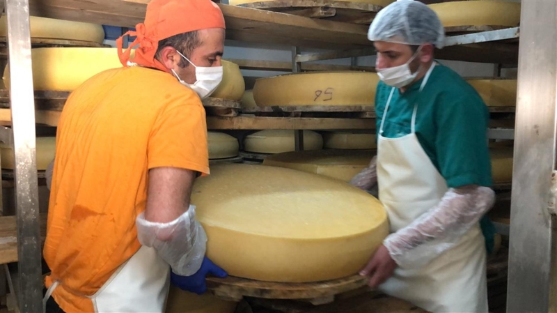 <p>Kaşar peynirin özellikle ramazanda sahurda ve akşam iftarda yenilmesi gerektiğini sözlerine ekleyen Koçulu,</p>