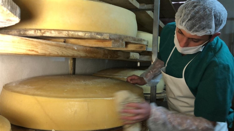 <p>İstediğimiz olgunluğa geldikten sonra sıcak odadan alıp soğuk depoya koyuyoruz. Soğuk depoya aldığımızda da yaklaşık 7 ay bekletiyoruz.</p>