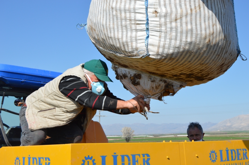 <p>�nceki y�llarda yurt d���ndan ana� olarak getirilen baz� patates tohumlar�n�n T�rkiye'ye pek �ok bitki hastal���n� da getirdi�ine dikkati �eken A�r�, �unlar� kaydetti:</p>