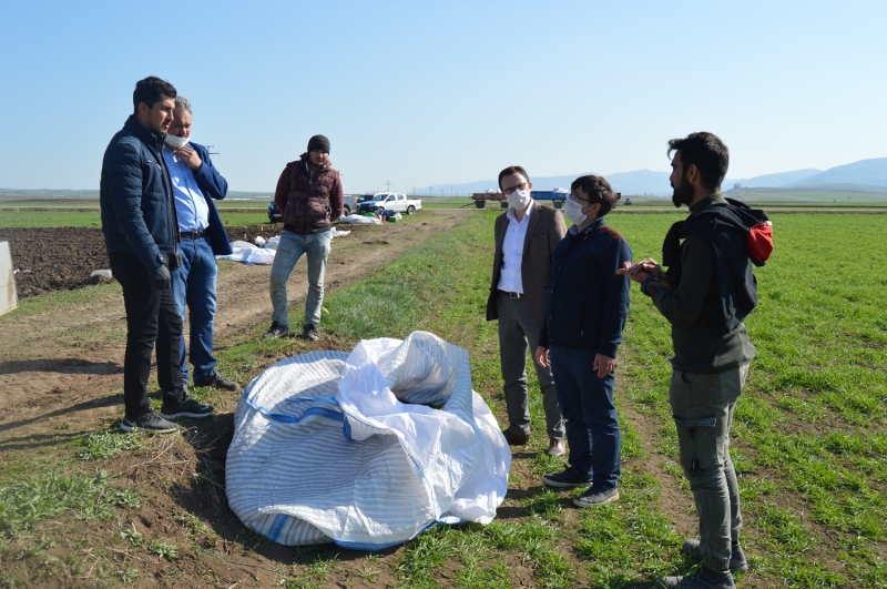 <p>'Yerli patates tohumunun, ithal patates tohumuna g�re maliyeti yar� yar�ya d���k. Biz de burada yerli ve milli patates tohumlar�n� �retmeye �al���yoruz. Arazimize ekimini yapt���m�z 18 �e�it patates tohumunun verimlilik oranlar�n� �l�ece�iz. Art�k, patates tohumunda Avrupa'ya ba��ml�l���m�z�n kalmamas�n� istiyoruz. �lk defa Afyonkarahisar'da denemesini yapt���m�z mor patatesin en �nemli �zelli�i antosiyanin i�ermesi. ��i mor, d��� siyah bir patatestir. Bu patates cinsi, insan sa�l���na faydal�d�r. �nsan v�cudundaki h�crelerin kanser olmas�n� �nler. Sivas ve Nev�ehir'de deneme ekimlerinin yap�ld���n� biliyoruz. Daha �ok kanser hastalar� ve kanser olma riski ta��yan insanlar�n arad��� bir besin maddesi. Maliyeti y�ksek olan bir patates �e�ididir. Mor patatesi, daha �ok �retmek i�in ekim yapmak istiyoruz. Bu konuda daha �ok insana faydal� olaca��m�z� d���n�yoruz.'</p>