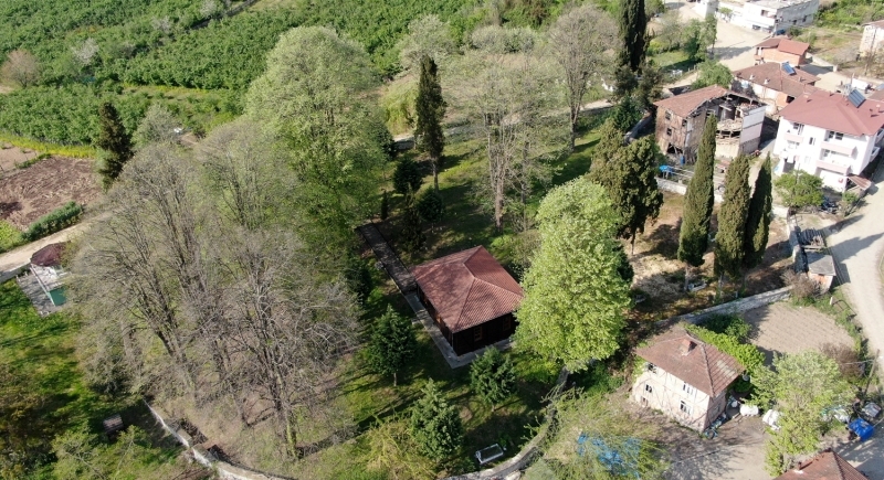 <p>Ordu'nun Perşembe ilçesine bağlı Kutluca köyünde bulunan ve 1800'lü yılların başında yapıldığı tahmin edilen kentin ikinci ahşap camisi olma özelliğine sahip Kutluca Camisi yıllardır ihtişamını koruyor.<br></p>