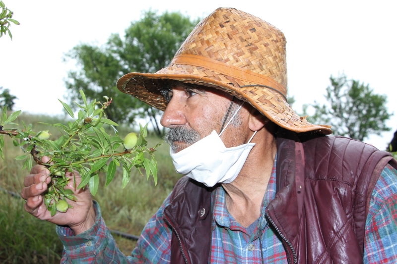 <p>Yerleştiği adaya 4 bin fidan diken, yaptığı sulama havuzu ile onları büyütüp adayı ayrı bir görüntüye kavuşturan Abay, koronavirüs tedbirleri kapsamında 65 yaş üstü kısıtlamasına takıldığı için ilçedeki evine dönmek zorunda kaldı.</p>