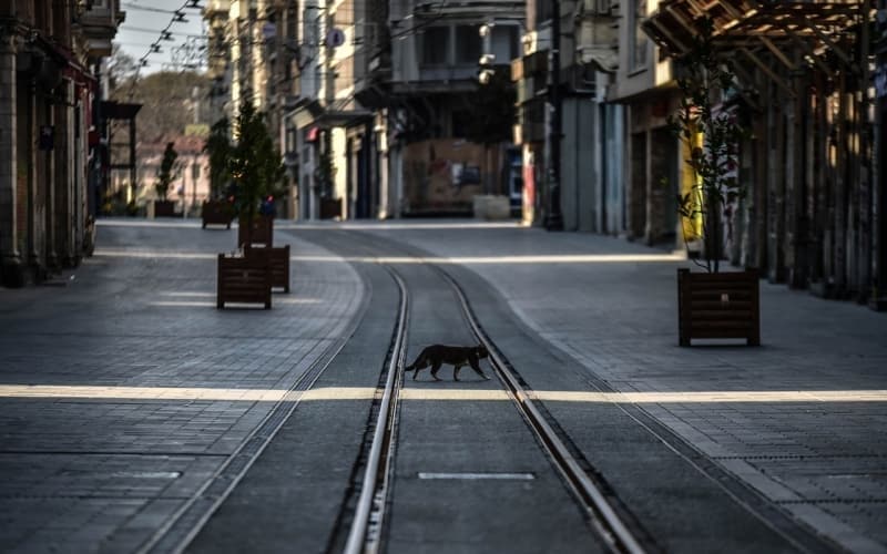 <p><b>SOKAĞA ÇIKMA YASAĞININ KALDIRILDIĞI 9 İL!<br></b><p><b><br></b></p></p><p>Adana, Denizli, Diyarbakır, Kahramanmaraş, Mardin, Ordu, Şanlıurfa, Tekirdağ, Trabzon'da sokağa çıkma yasağı kaldırıldı.</p>