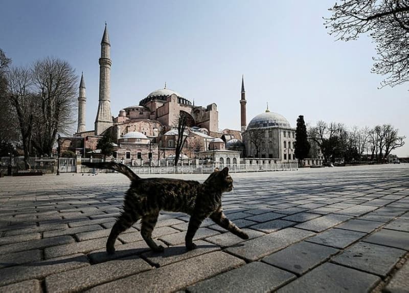 <p>Sokağa çıkma kısıtlamasının olduğu 16 Mayıs Cumartesi ve 17 Mayıs Pazar günleri market, bakkal, manav, kasaplar ve online satış yapan işletmeler de kapalı olacak.</p>