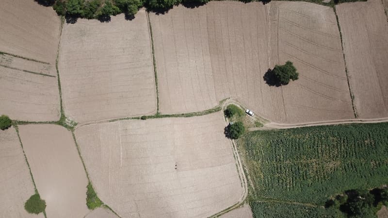 <p>Sulanabilir bereketli topraklarn ev sahibi Adana'da da soandan patatese, karpuzdan pamua kadar birok rn alnyor.</p>