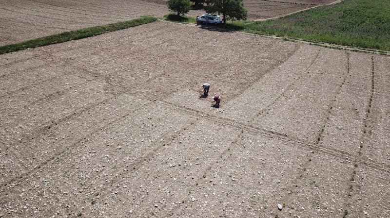 <p>Bu ilde en fazla domates yetitiriliyor ve bu rn yurdun drt bir yannda tketilirken, dnyaya da ihra ediliyor.</p>