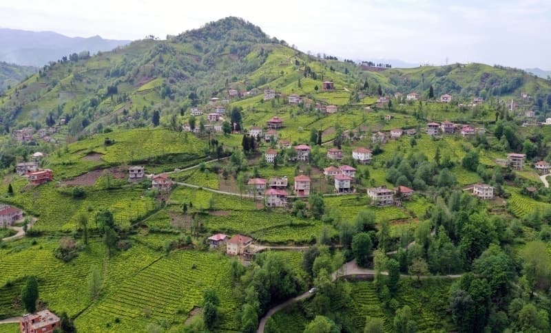 <p>Trkiye'nin en fazla tarm alanna sahip ili olan Konya, 'tahl ambar' olarak biliniyor.</p>