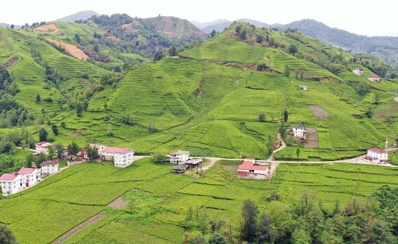 <p>Edirne'den Gaziantep'e, Giresun'dan Adana'ya pek ok ilde ekim ve hasat iin iftilerin adeta karnca gibi alt bu verimli tarm arazileri, Anadolu Ajans (AA) ekiplerince havadan grntlendi.</p>