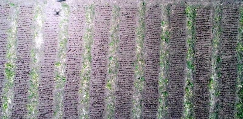 <p>Antalya blgesi, elverili iklim artlaryla yllardr meyve ve sebze retiminde adeta 'Trkiye'nin kalbi' olarak nitelendiriliyor.</p>