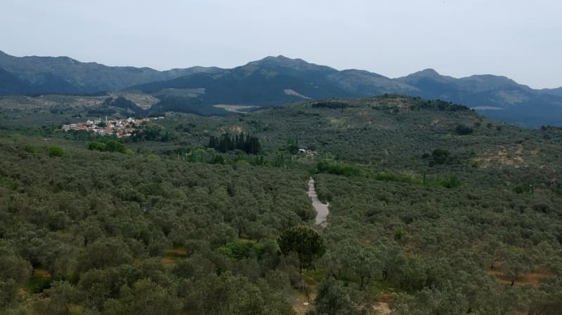 <p>Ayrca Trkiye'nin salalk domates retiminin yarsna yakn Karacabey ilesinden karlanyor. Yeniehir ilesinde de biber yetitiriliyor.</p>