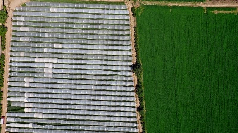 <p><b>- ANTEP FISTII, NOHUT, PATATES, ZEYTN, SARIMSAK VE BAMYA</b><br></p>