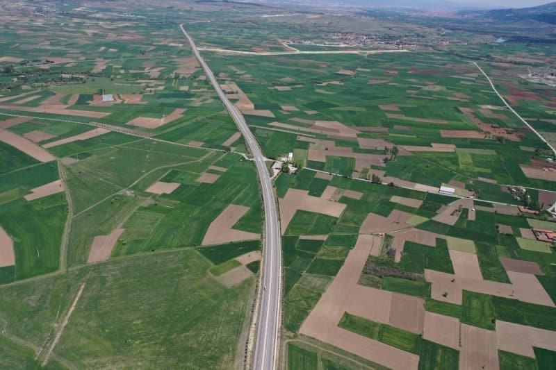 <p>Verimli arazilere sahip zmir'deki ovalarda nemli oranda mandalina, zm ve patates yetitiriliyor.</p>