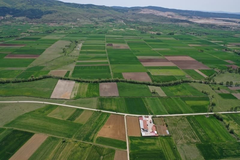 <p>Balkesir'in Edremit Krfezi, Trkiye'nin nemli zeytin retim merkezleri arasnda yer alyor.</p><p>Trkiye'de nemli sarmsak retim merkezlerinden Kastamonu'nun Takpr ilesinde ubat ve martta ekilen sarmsak, temmuz aynda hasat ediliyor.</p>