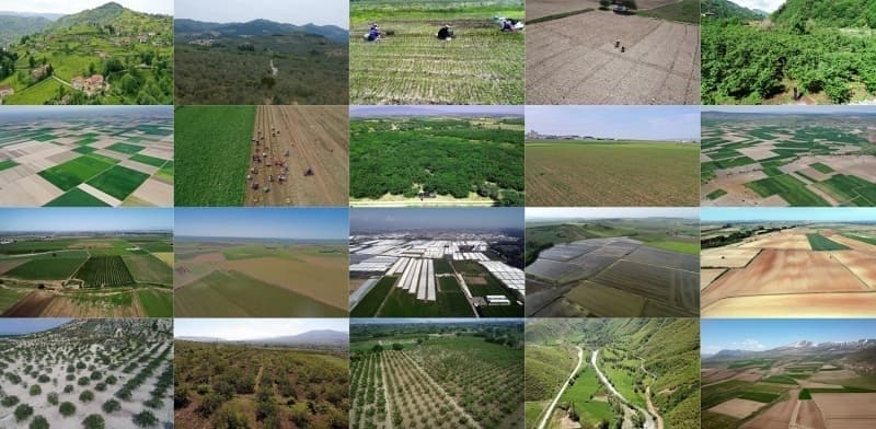 <p>Amasya'nn Taova ilesinde lezzetiyle damaklar enlendiren bamya, tarladan sofraya binbir zahmetle getiriliyor.</p><p>Tarm ve Orman Bakanlndan zel izinle sadece Samsun'un 19 Mays ilesinde ekimi yaplan salep orkidesinin de hasadna baland.</p>