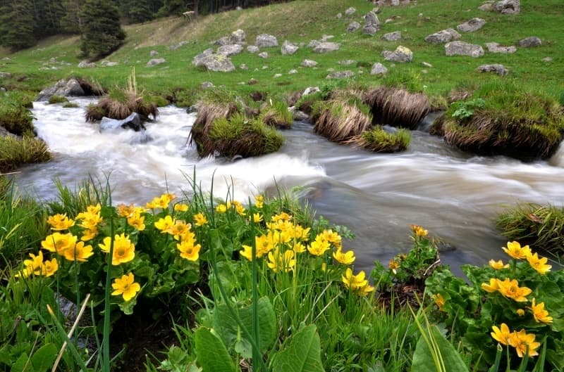<p>Bir yandan karlı dağlar, diğer taraftan doğayı süsleyen rengarenk lale, çiğdem ve çayır çiçekleri ile küçük şelaleler, güzel görüntüler oluşturuyor.<br></p>