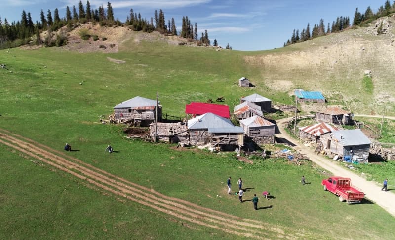 <p>Gölyanı Yaylası'na hayvanlarını otlatmak için gelen Cemile Okur, burada doğup büyüdüğünü söyledi.</p><p>Her yıl bu aylarda yaylaya gelip bir süre kaldıktan sonra üst rakımdaki yaylalara göçtüklerini anlatan Okur, 'Sonbaharda tekrar buraya dönüyoruz. Burası bizim için çok önemli. Her şeyi doğal, buraya geldiğimizde içimiz huzur doluyor. Bir çuval altını önüme koysanız burayı vermem.' diye konuştu.</p><p>Okur, bazı kişilerin yaylaya izinsiz ev yapmaya çalıştığını dile getirerek, şunları kaydetti:</p>