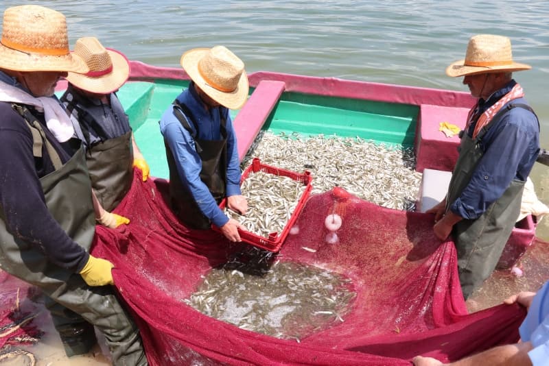 <p>'Canavar' adı verilen balık ekmek kapısı oldu!</p>