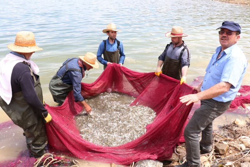 <p>'Canavar' adı verilen balık ekmek kapısı oldu!</p>