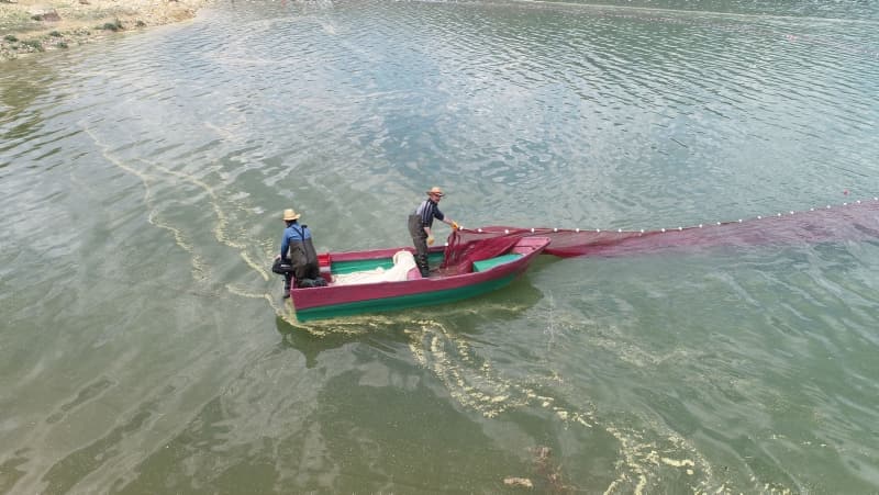 <p>'Canavar' adı verilen balık ekmek kapısı oldu!<br></p>