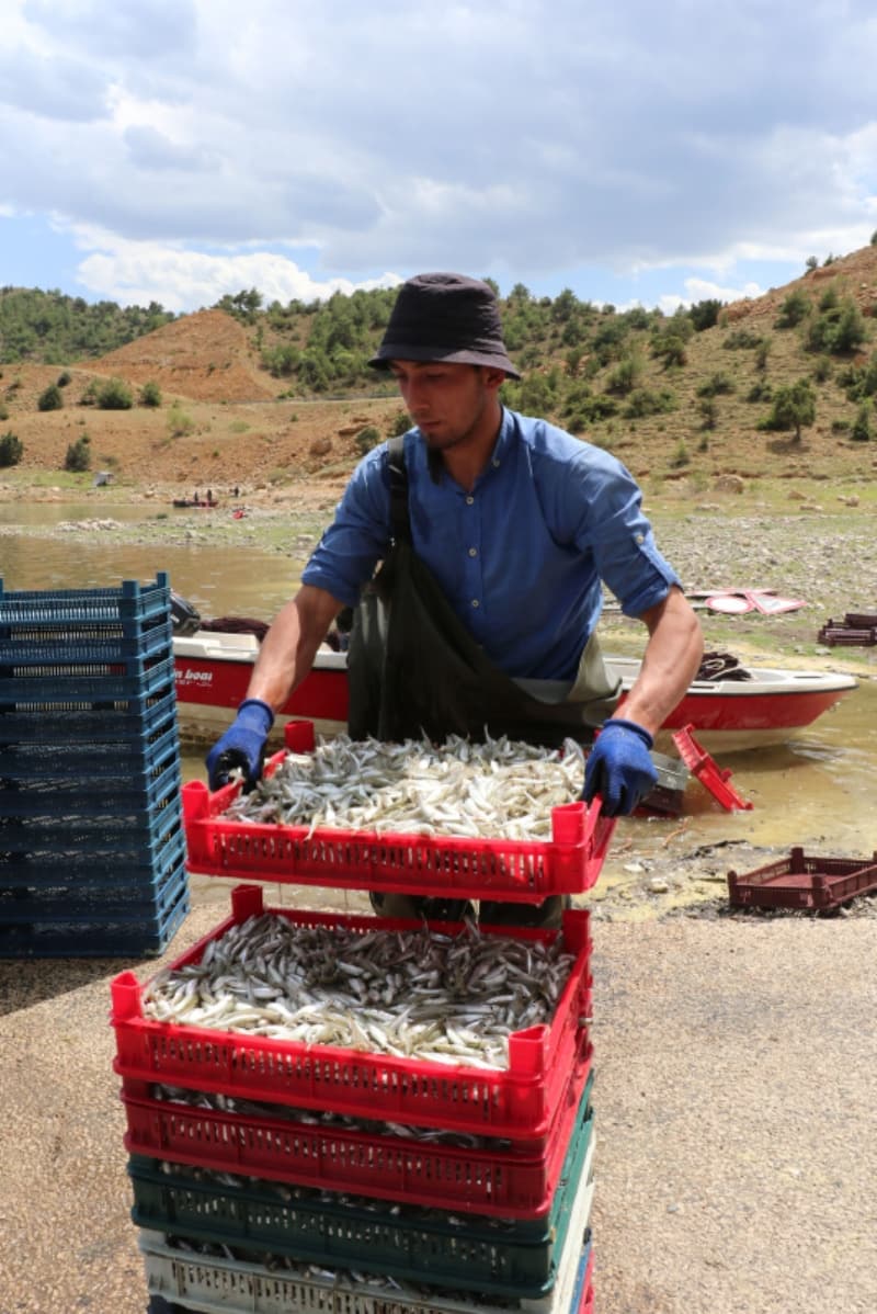 <p>'Canavar' adı verilen balık ekmek kapısı oldu!</p>