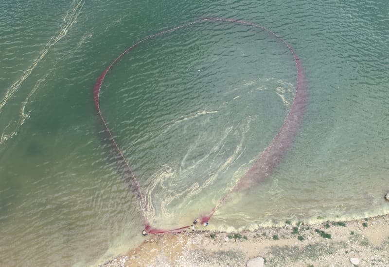 <p>'Canavar' adı verilen balık ekmek kapısı oldu!<br></p>