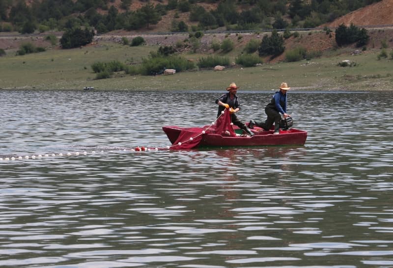 <p>'Canavar' adı verilen balık ekmek kapısı oldu!</p>