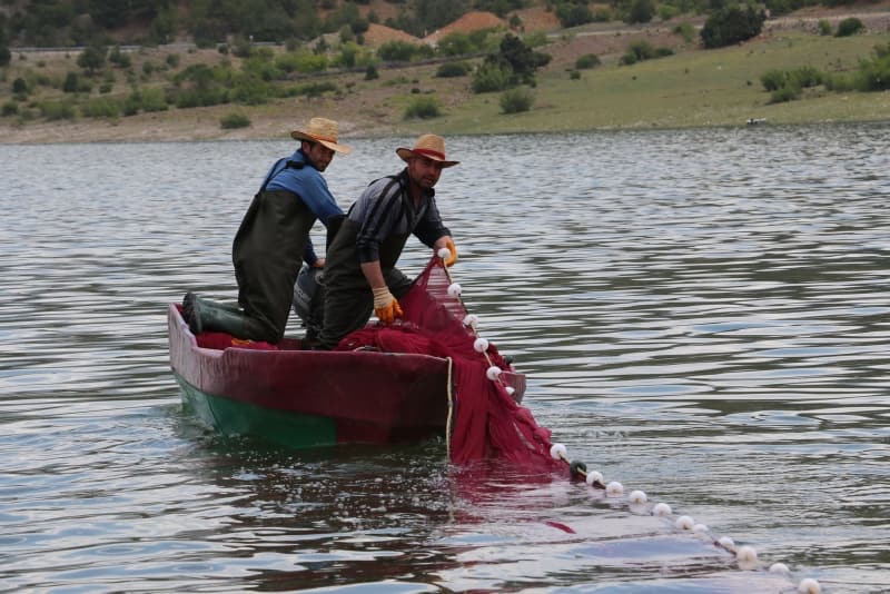 <p>'Canavar' adı verilen balık ekmek kapısı oldu!</p>