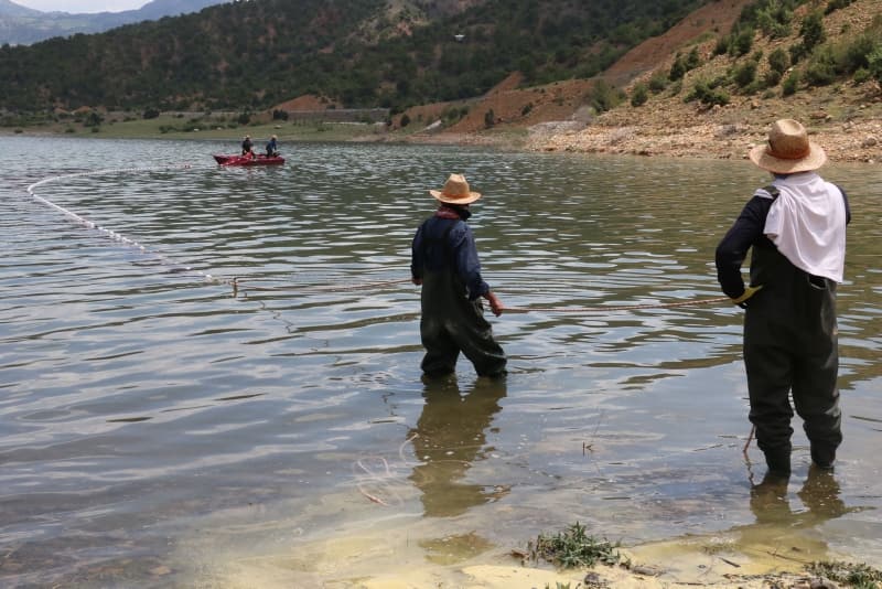 <p>'Canavar' adı verilen balık ekmek kapısı oldu!</p>