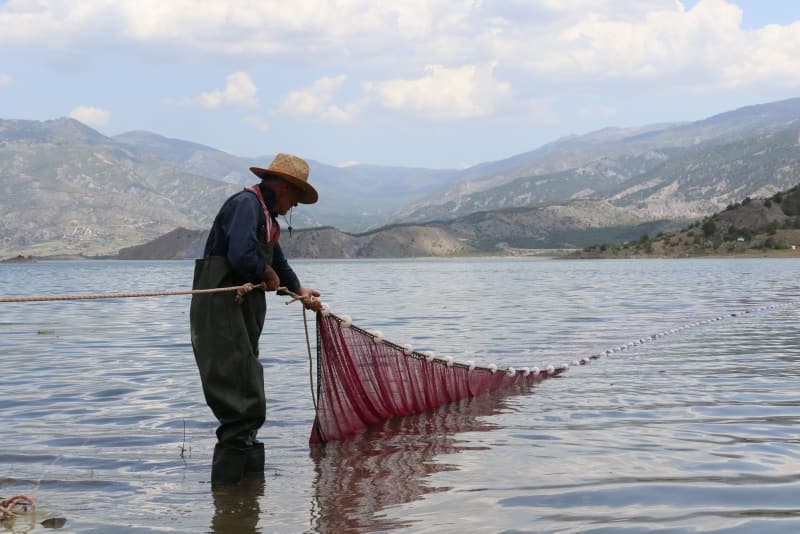 <p>'Canavar' adı verilen balık ekmek kapısı oldu!</p>