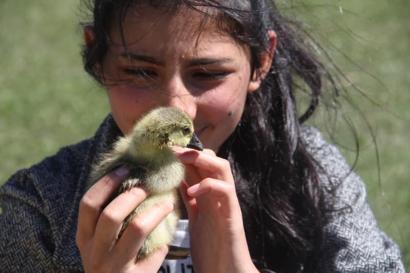 <p>Babasının telefonundan online derslere katılan Fatma Aydın, telefon olmadığı zamanlarda da önceden işlediği konuları tekrar ediyor.</p>