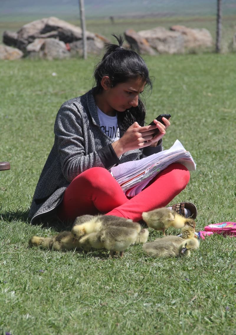 <p>Ders çalışırken kaz yavrularının kendisine arkadaşlık ettiğini dile getiren Aydın, şunları kaydetti:</p><p>'Baharın gelmesiyle kaz yavrularına da bakmaya başladım. Hem yazı yazıyorum hemde kaz yavrularına bakıyorum. İkisini bir arada yapmak çok zor olmuyor, ders çalışırken onlar da otluyor ben de yalnız çalışmamış oluyorum. Doğada çiçeklerin arasında ders çalışmak ayrı bir keyif. Ders aralarında 15 dakikalık dinleme zamanımız oluyor, o zamanda kaz yavrularını severek vaktimi geçiriyorum. '</p>