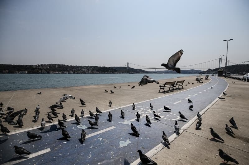 <p>Kamu ve özel sağlık kurum ve kuruluşları, eczaneler, veteriner klinikleri ve hayvan hastaneleri,</p>