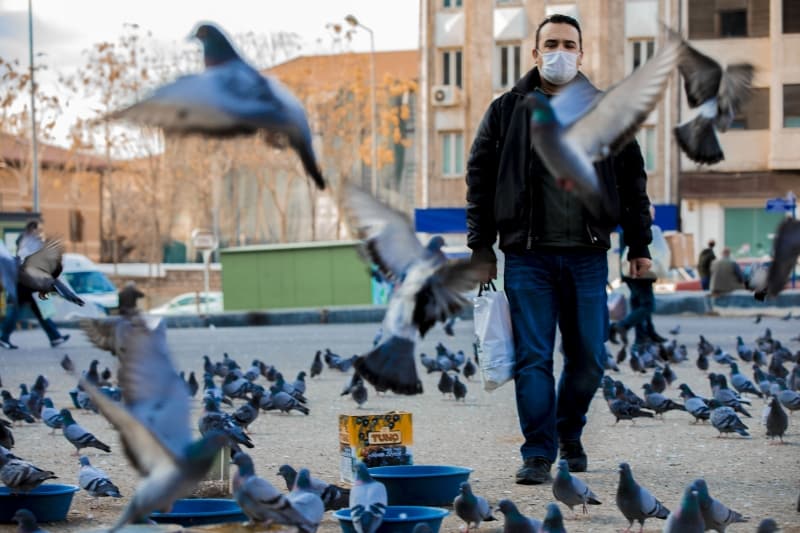 <p>Gazete, radyo ve televizyon kuruluşları ile gazete basım matbaaları,</p><p>o) Daha önceden sözleşmeye/taahhüde bağlanmış ve belirlenen süre içerisinde yetiştirilmesi gereken ihracata konu; mal, malzeme, ürün, araç-gereç üreten iş yerleri ve tesisler (mevcut zorunluluklarını ispatlamaları ve anılan şartlara uymaları kaydıyla),</p><p>ö) Zirai amaçlı akaryakıt satışı yapılan Tarım Kredi Kooperatifleri,</p><p>p) Kısıtlama süresinde yağmura bağımlı tarımsal faaliyetler göz önünde bulundurularak Valilikler/Kaymakamlıklar tarafından tespit edilecek ihtiyaca göre kura ile belirlenecek; zirai ilaç, tohum, fide, gübre vb. tarımsal üretime ilişkin ürün satışı yapan işletmeler,</p><p>o) 23.05.2020 Cumartesi ve 26.05.2020 Salı günü sebze/meyve toptancı halleri açık olacak.</p>