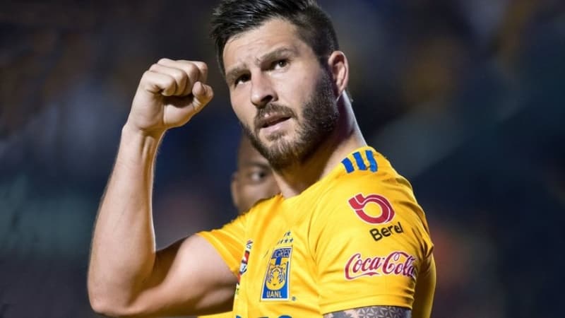 <p>Andre Pierre Gignac</p>
