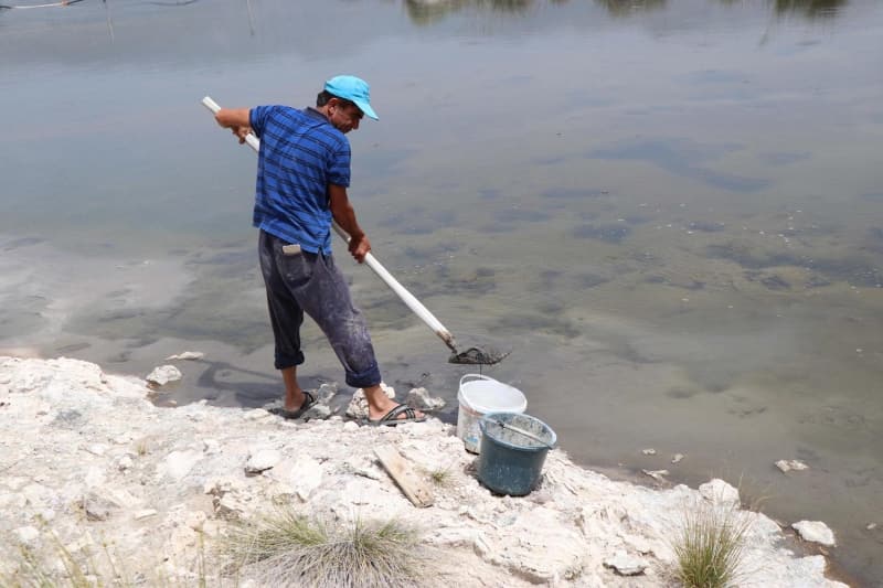 <p>Çamurdan kozmetik ürünlerin üretiminde en çok söz sahibi ülkenin İsrail olduğuna dikkat çeken Şen,</p>