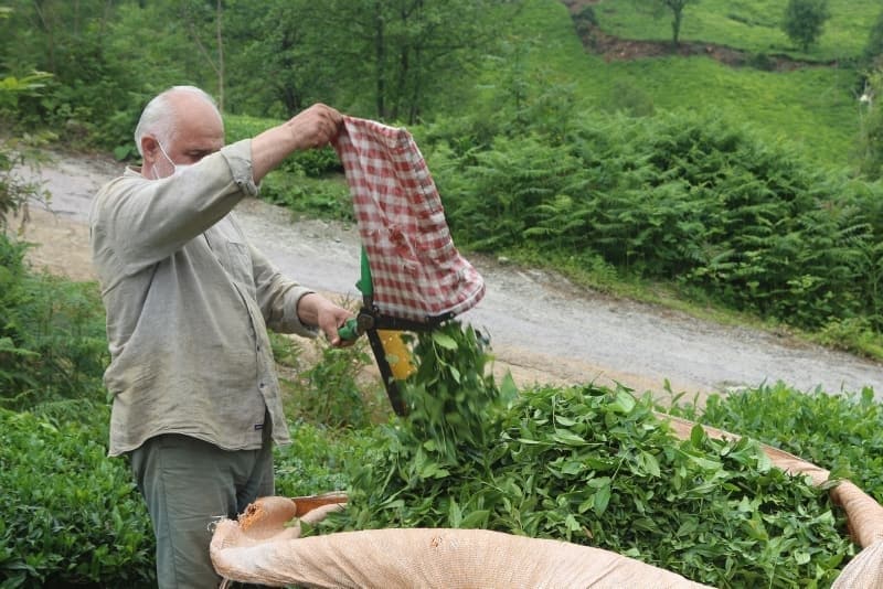 <p>Rize otogarında yüklerini otobüslerden indirenler, kalacakları köydeki evlerine hareket etti. </p>