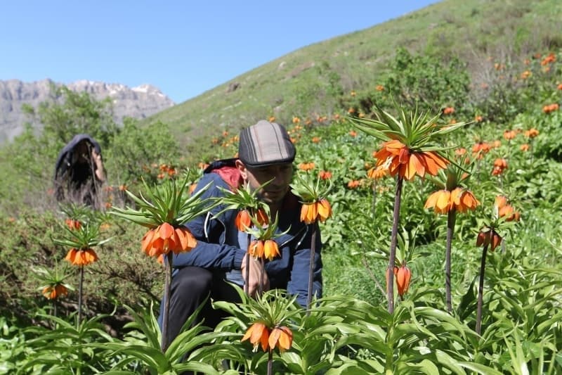 <p>'Buranın güzelliğini görmek için geldik. Arazi şartları zor ama tabiat harika. Bütün zorluğa değdi. Burada olmak güzel ve mutluluk verici. Biraz yorulduk ama karşılaştığımız güzellik yorgunluğumuzu unutturdu. Herkesi bu doğa güzelliklerini görmeye davet ediyorum.'</p>