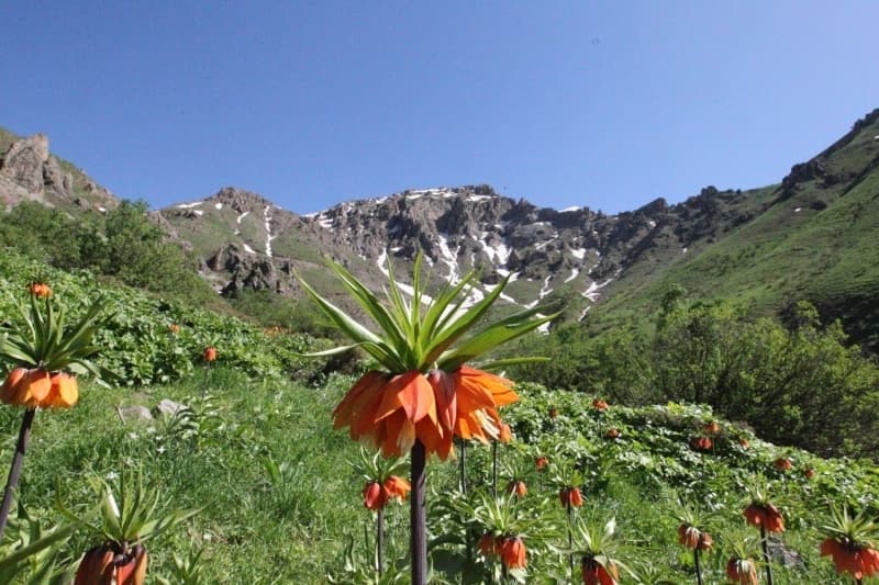 <p>Ancak karşılaştıkları manzaraya hayran kaldıklarını belirten Çetin, şunları kaydetti:</p>